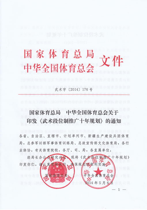 国家体育总局中国体育总会关于印发《武术段位制推广十年规划》的通知